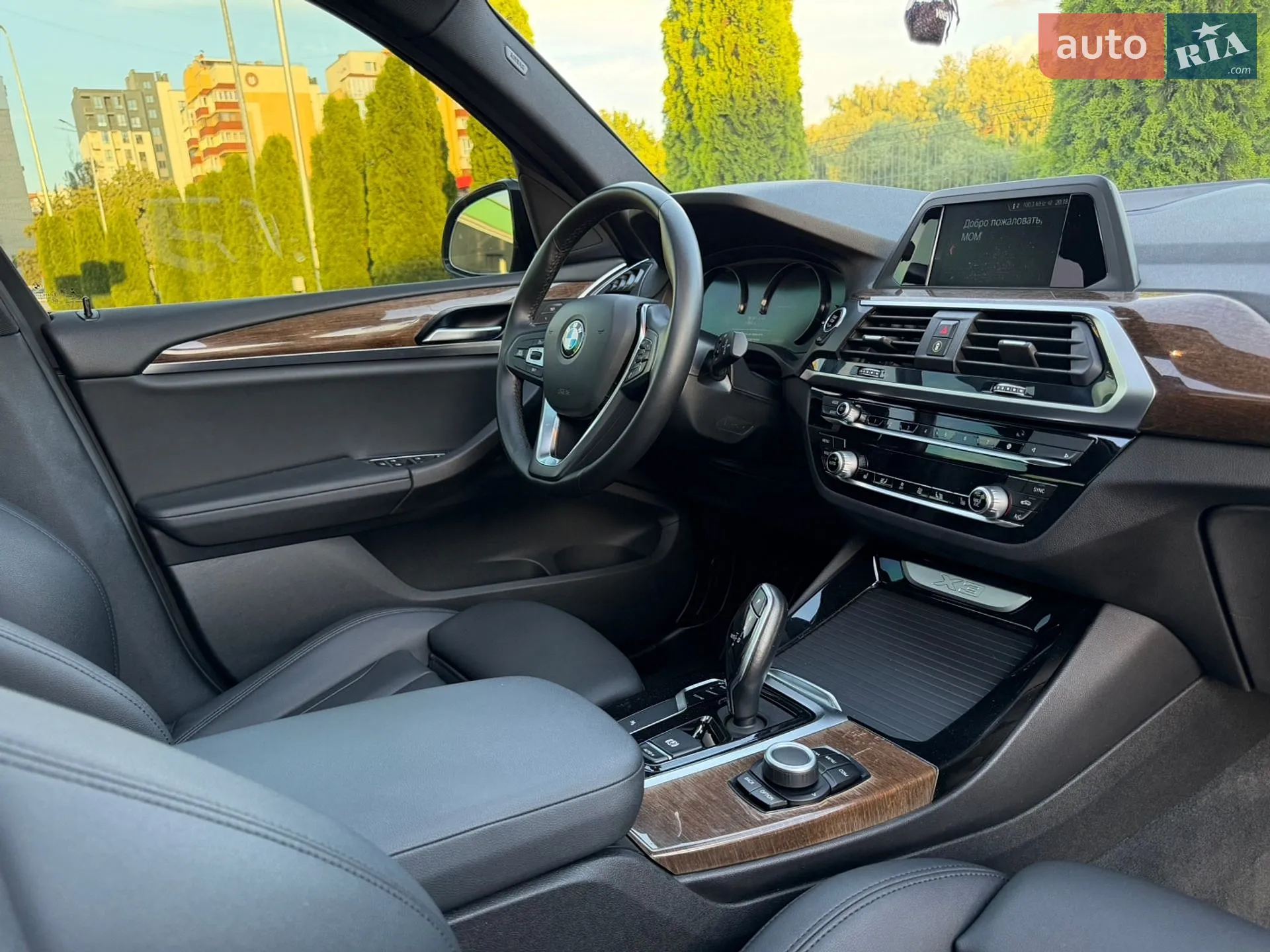 2019 BMW X3 - мініатюра 27