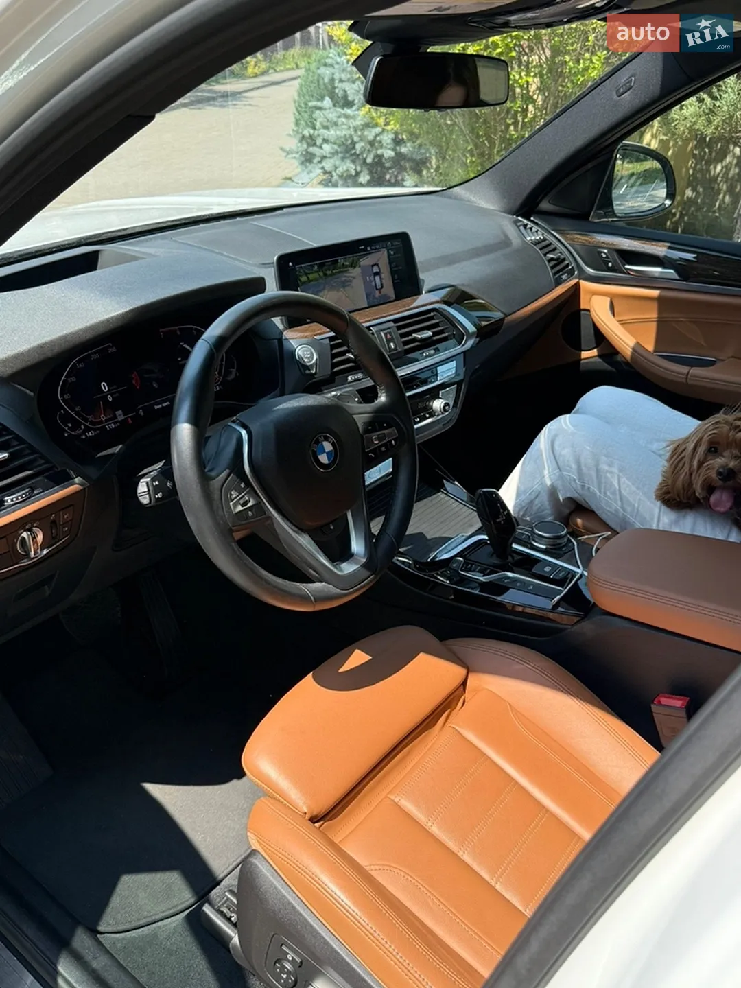 2020 BMW X3 - мініатюра 19