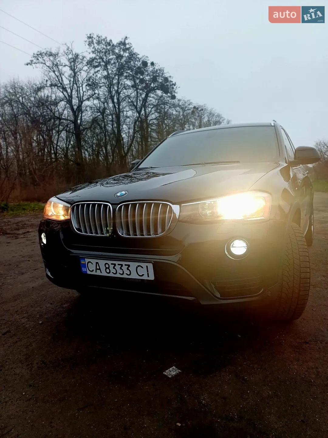 2014 BMW X3 - мініатюра 7