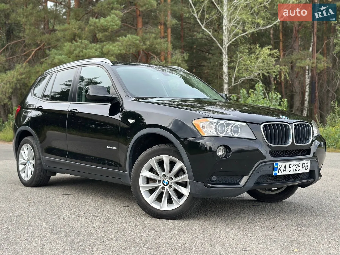2013 BMW X3 - мініатюра 3