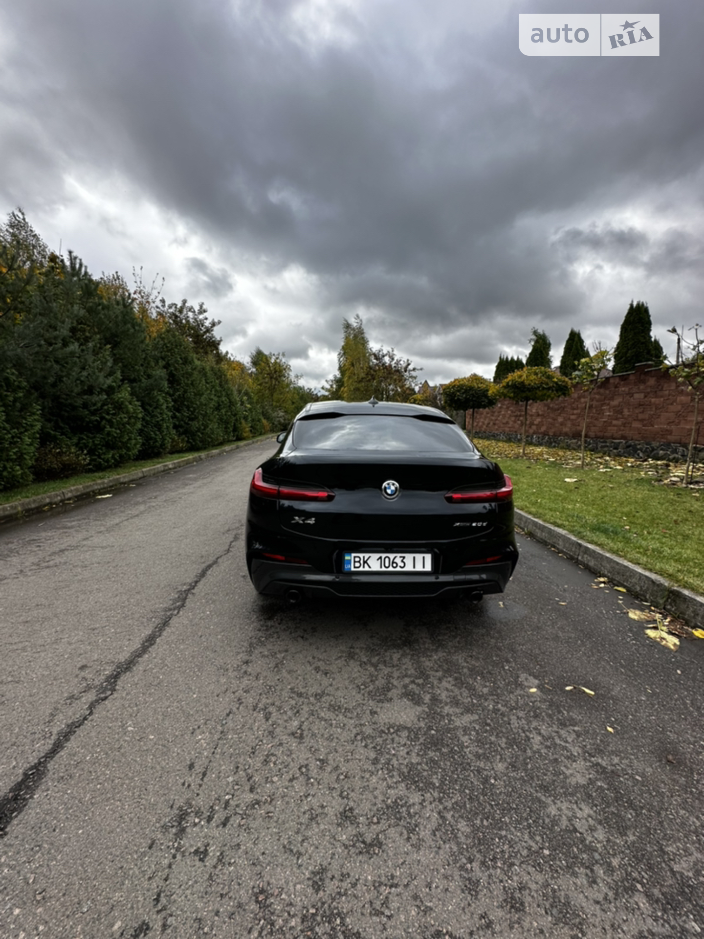 2019 BMW X4 - мініатюра 15