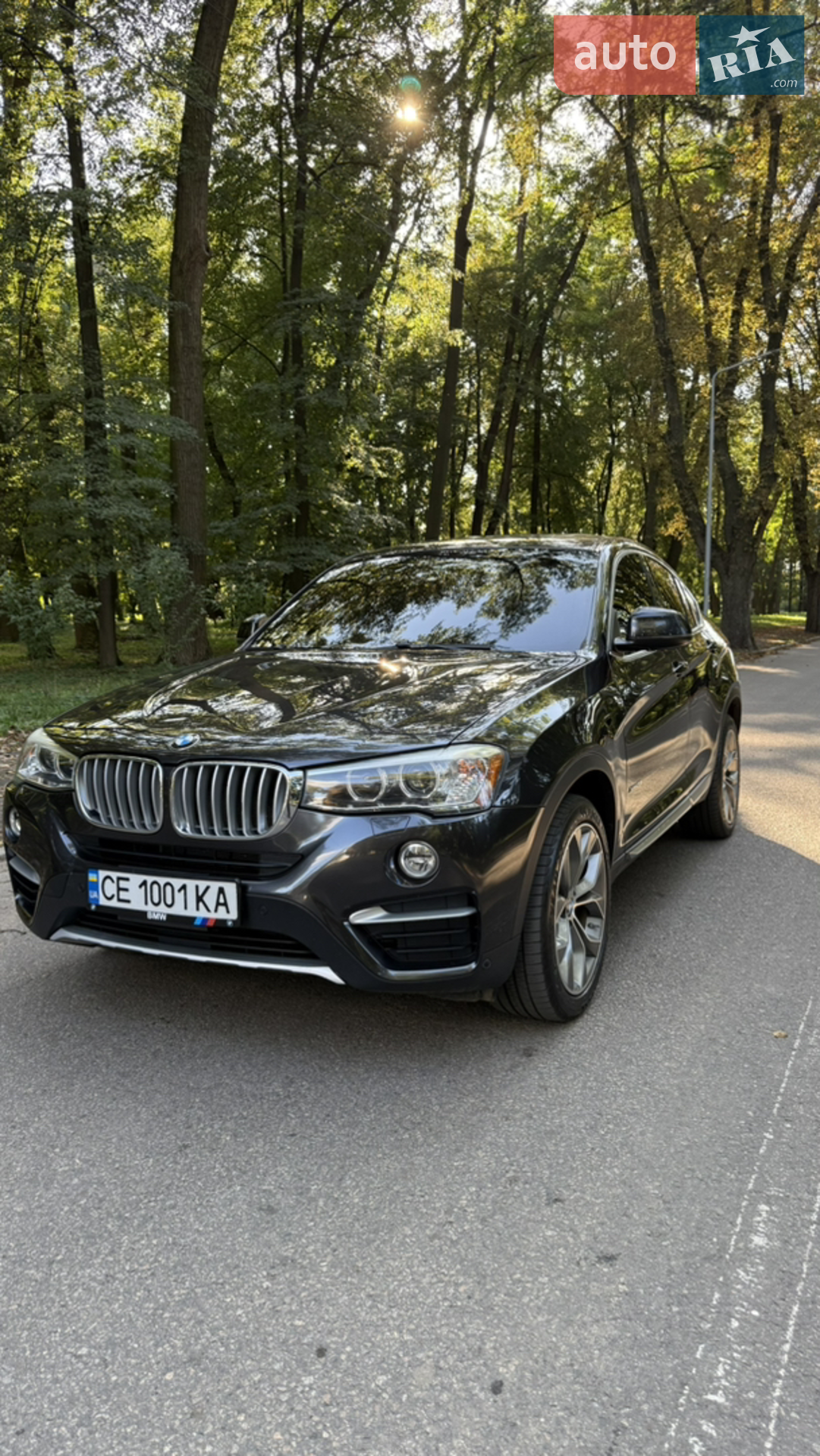 2017 BMW X4 - мініатюра 2