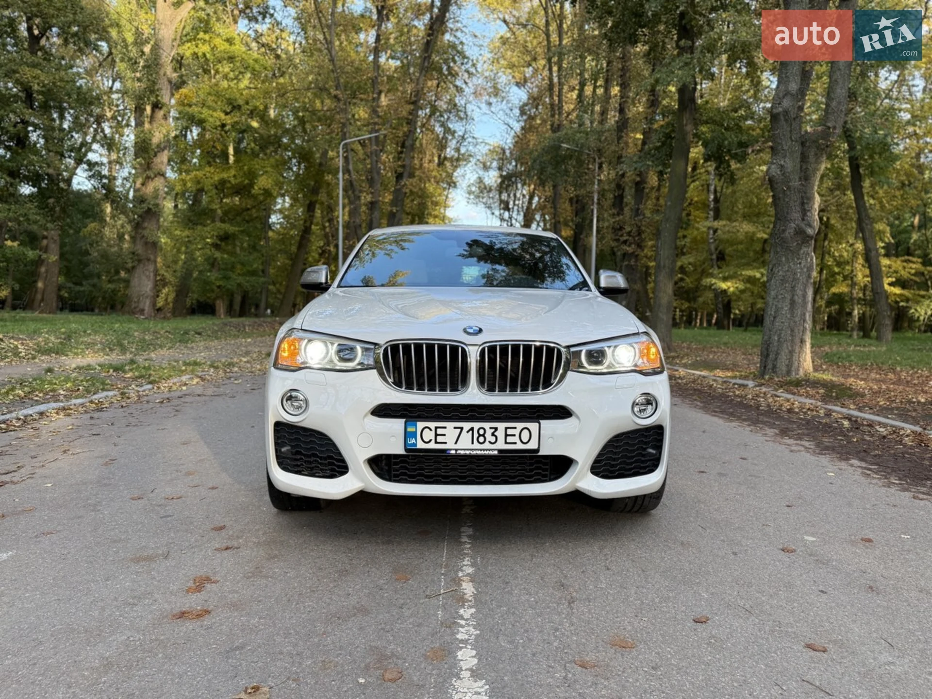 2017 BMW X4 - мініатюра 3