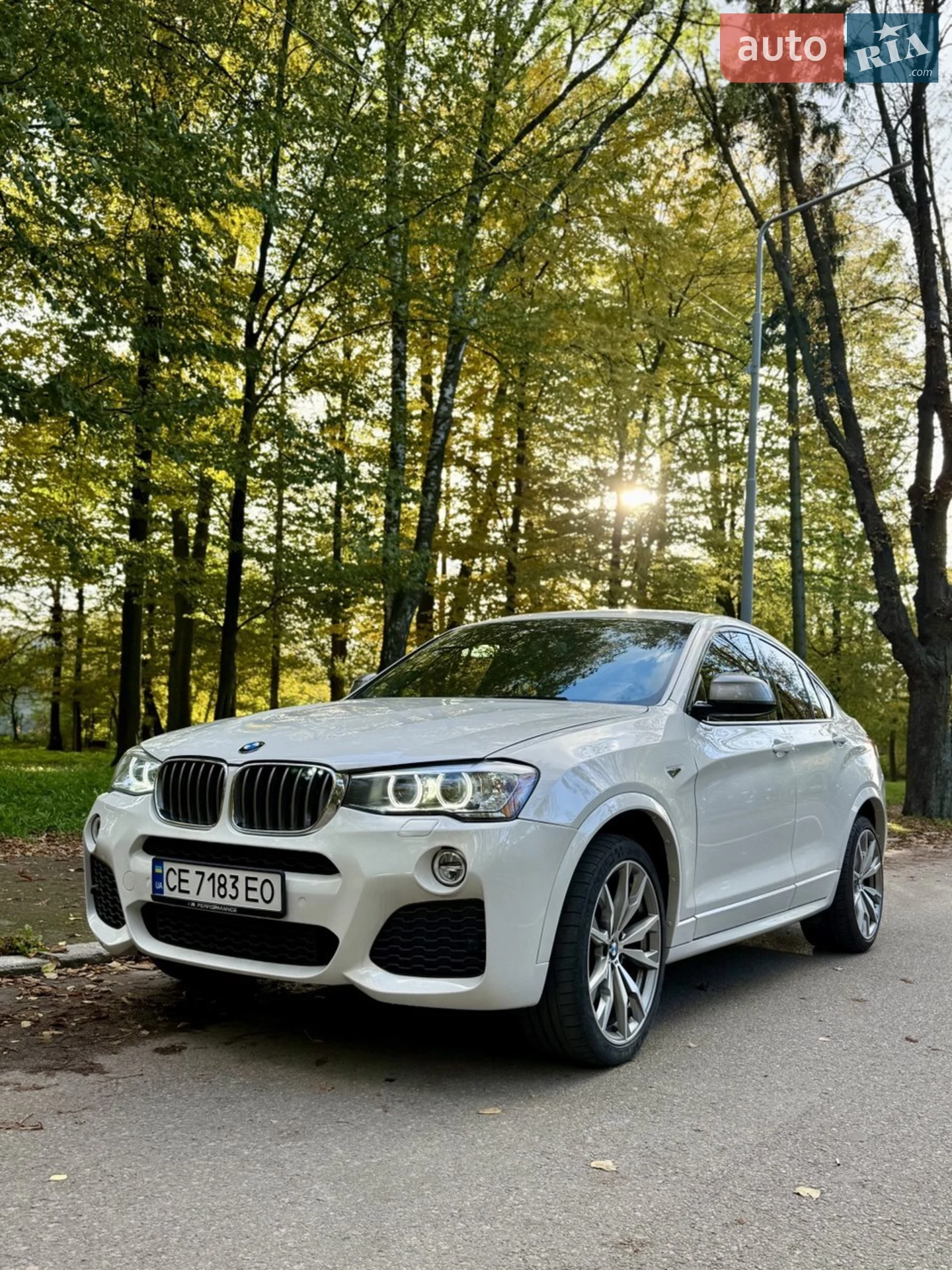 2017 BMW X4 - мініатюра 2