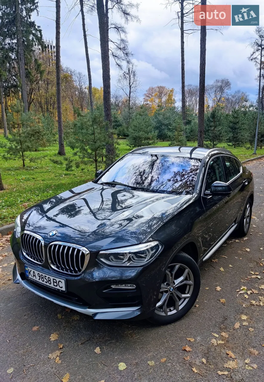 2019 BMW X4 - мініатюра 55