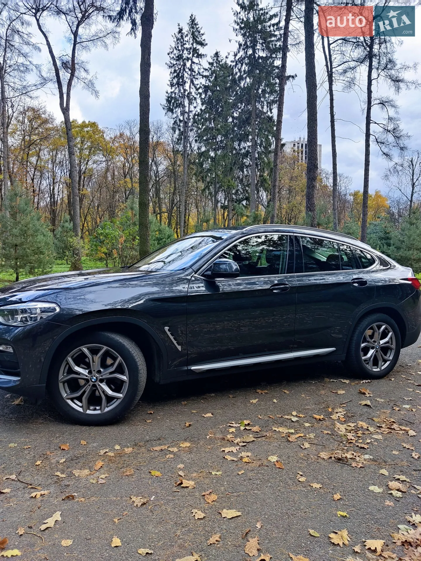 2018 BMW X4 - мініатюра 7