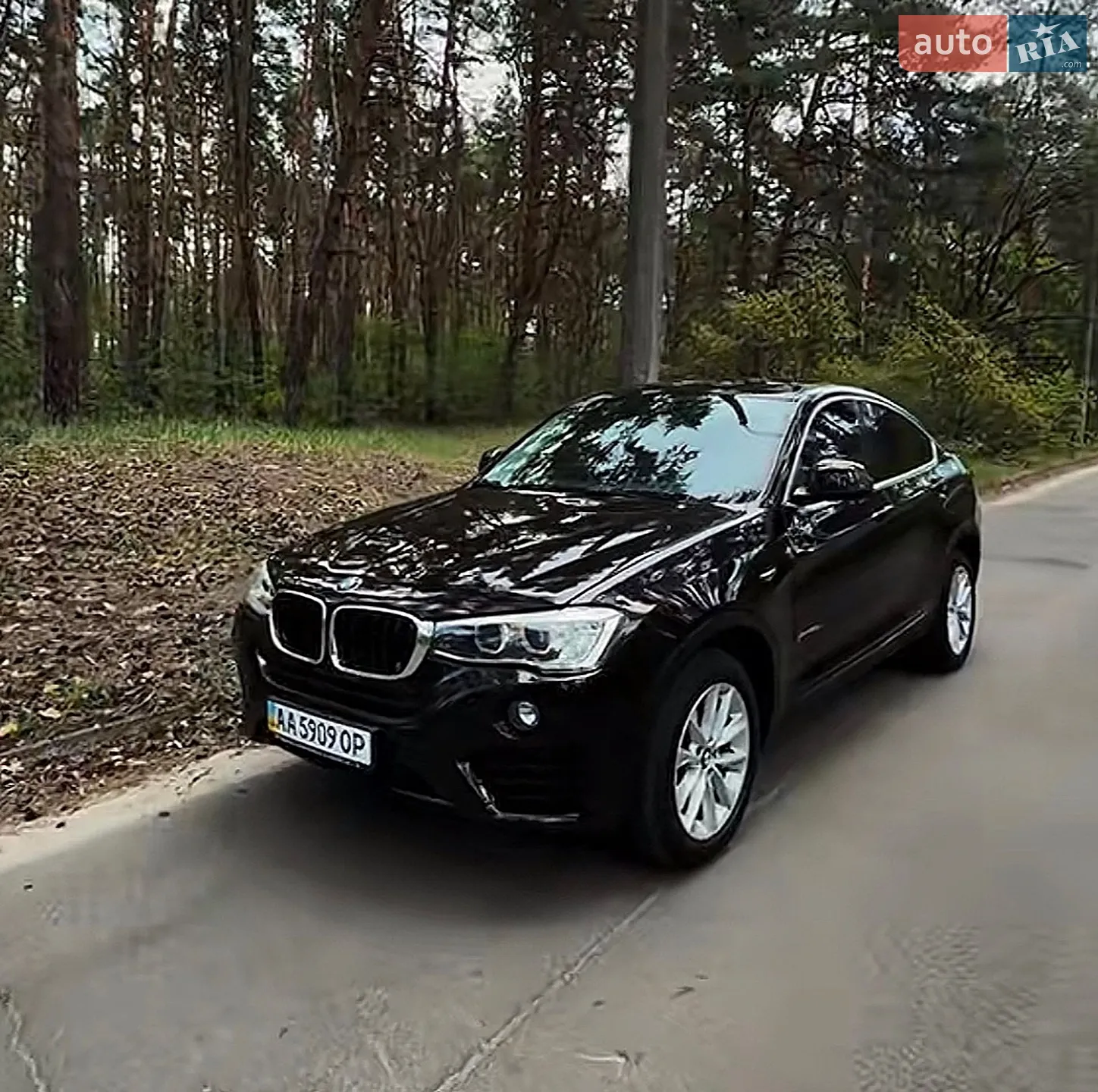 2015 BMW X4 - мініатюра 2