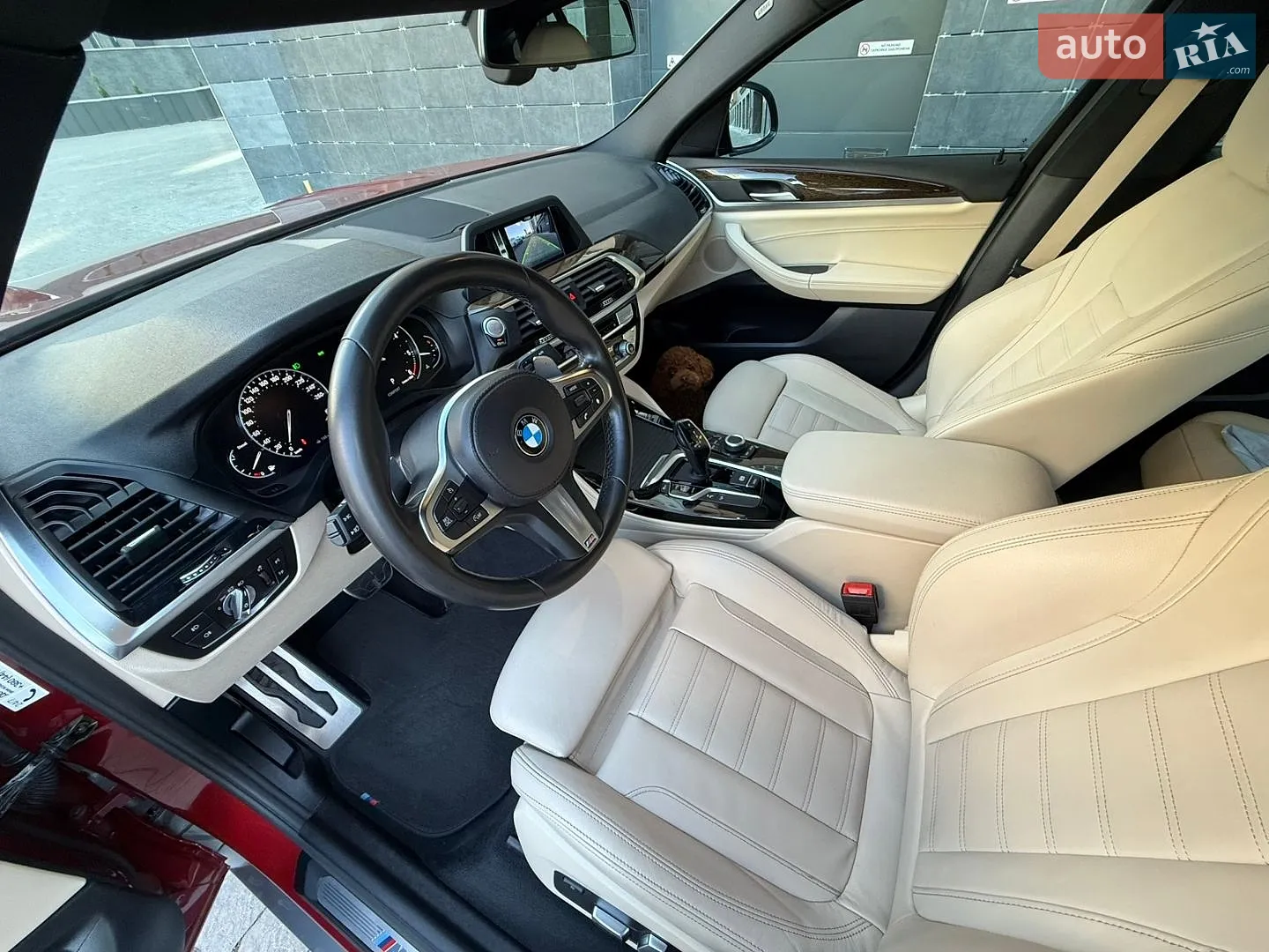 2019 BMW X4 - мініатюра 14