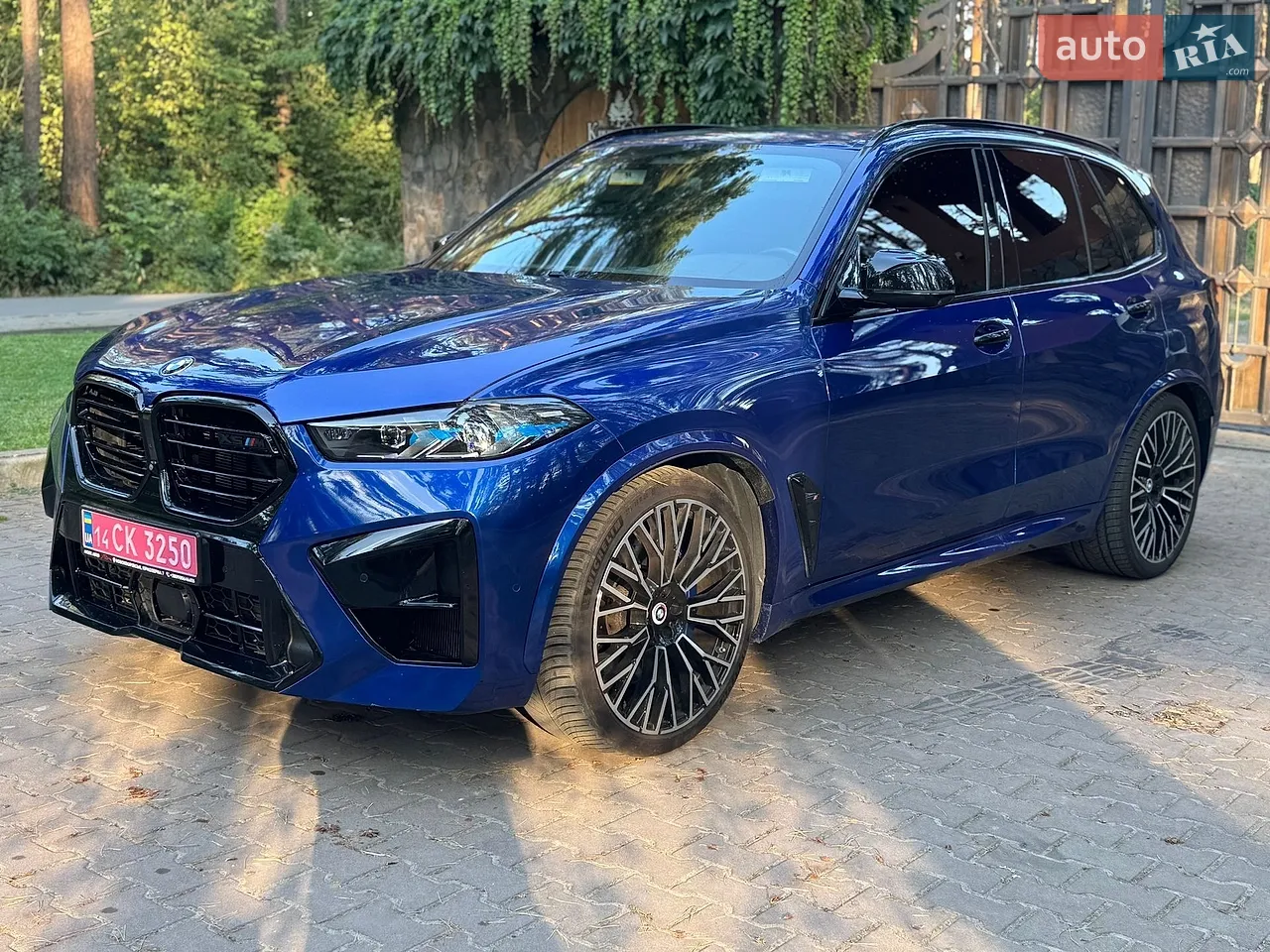 2019 BMW X5 - мініатюра 10
