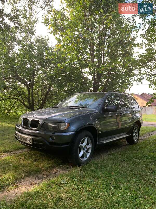 Позашляховик / Кросовер BMW X5 2003 в Конотопі