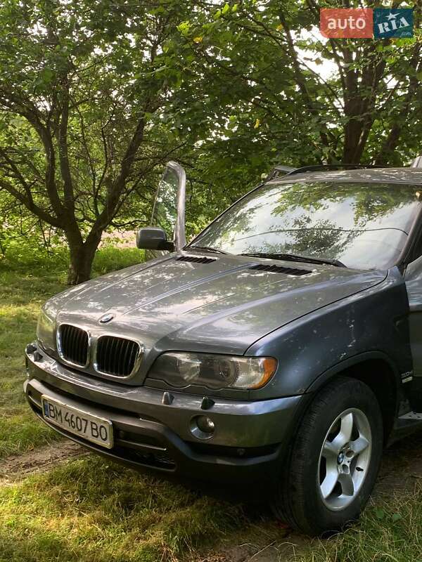 Позашляховик / Кросовер BMW X5 2003 в Конотопі