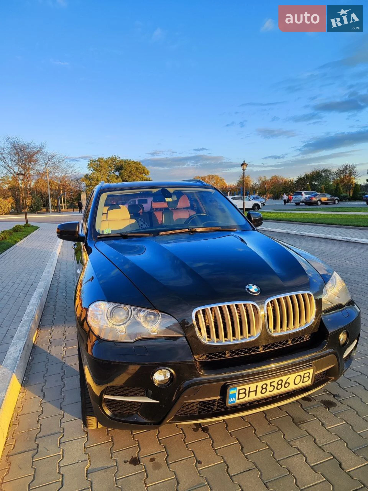 2010 BMW X5 - мініатюра 18