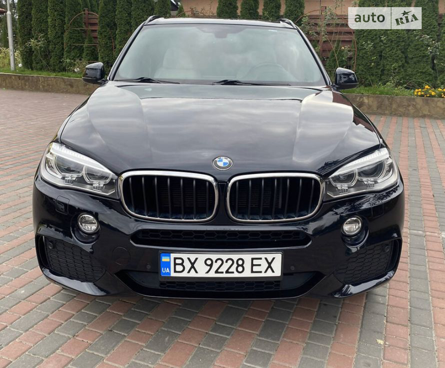 2014 BMW X5 - мініатюра 4