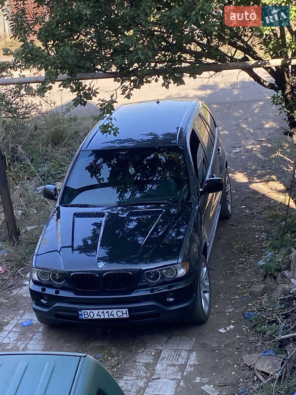 Внедорожник / Кроссовер BMW X5 2002 в Кременце фото 16 Внедорожник / Кроссовер BMW X5 2002 в Кременце