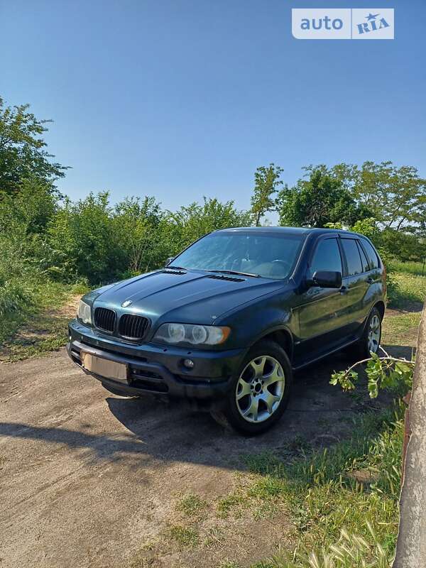 Внедорожник / Кроссовер BMW X5 2002 в Запорожье