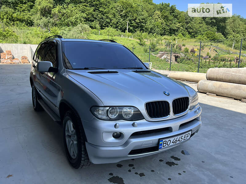 Позашляховик / Кросовер BMW X5 2001 в Теребовлі