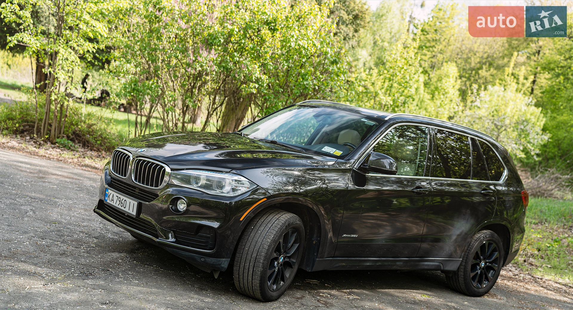 2013 BMW X5 - мініатюра 6