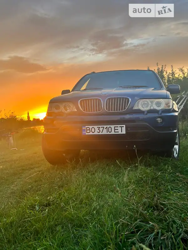 BMW X5