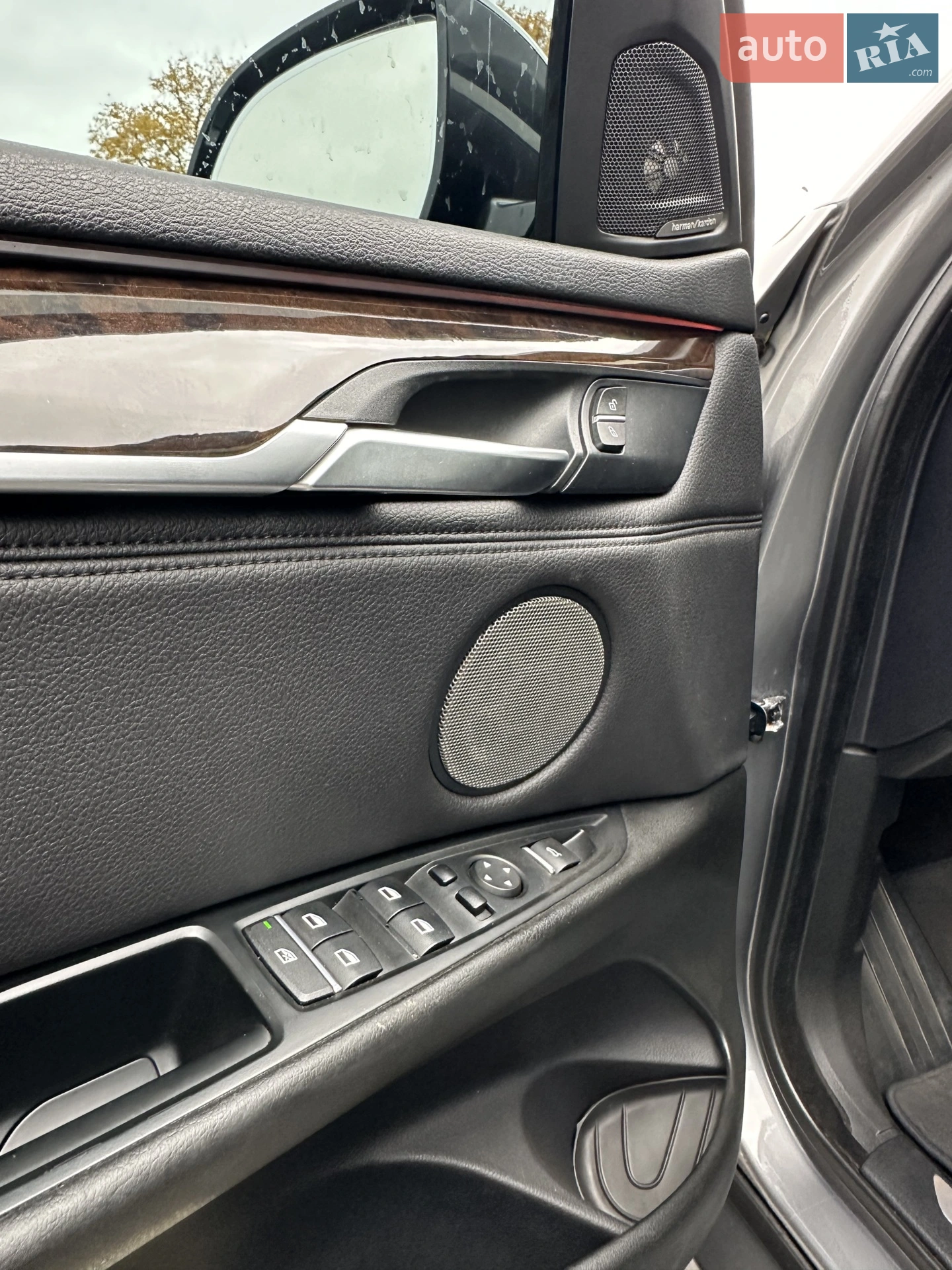 2014 BMW X5 - мініатюра 50