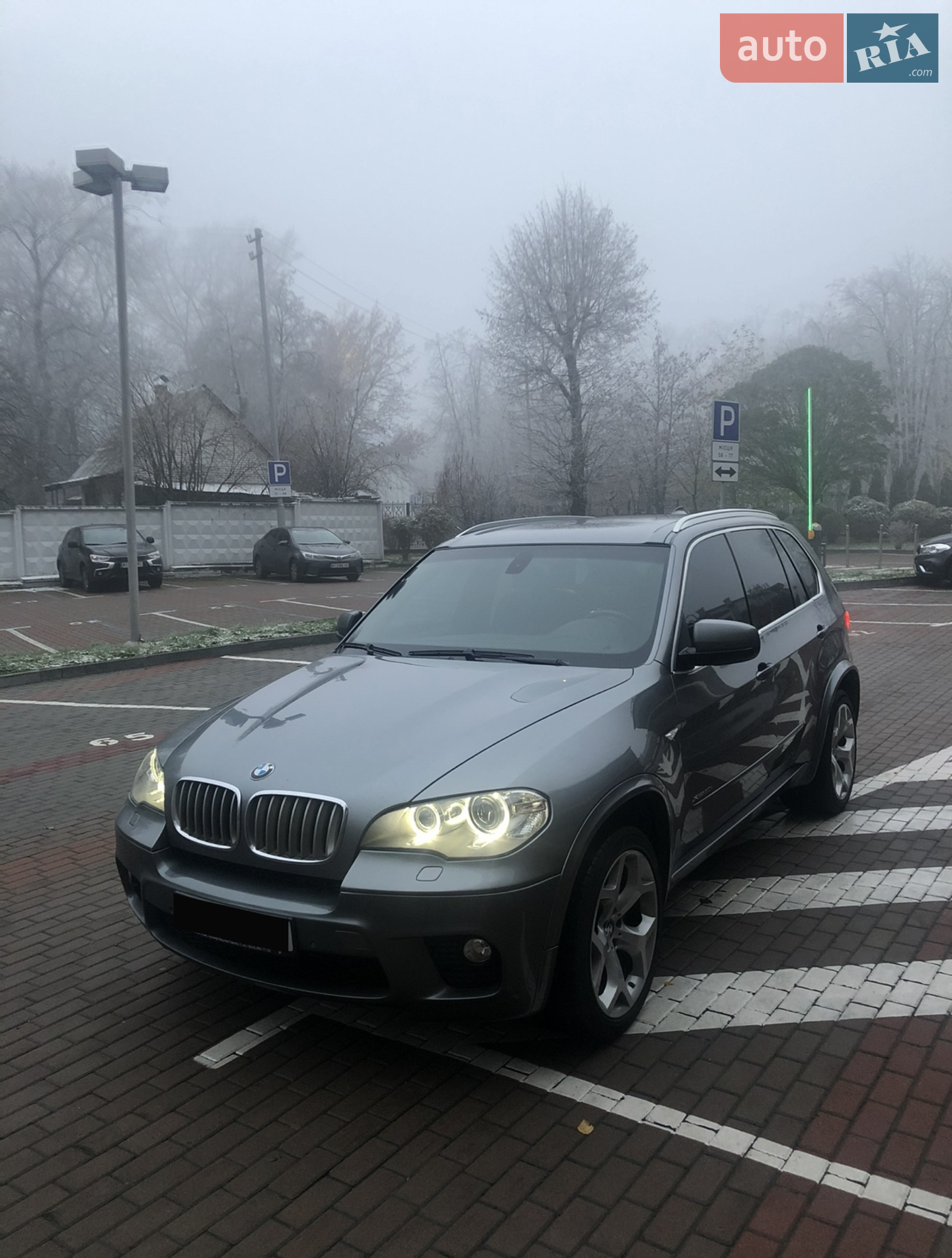 2010 BMW X5 - фото 1