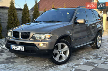 Позашляховик / Кросовер BMW X5 2004 в Летичіві