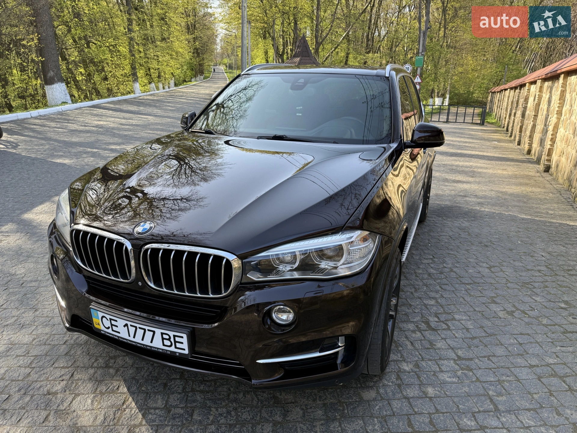 2014 BMW X5 - мініатюра 5