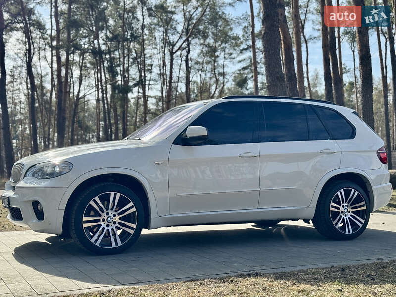 Внедорожник / Кроссовер BMW X5 2010 в Житомире