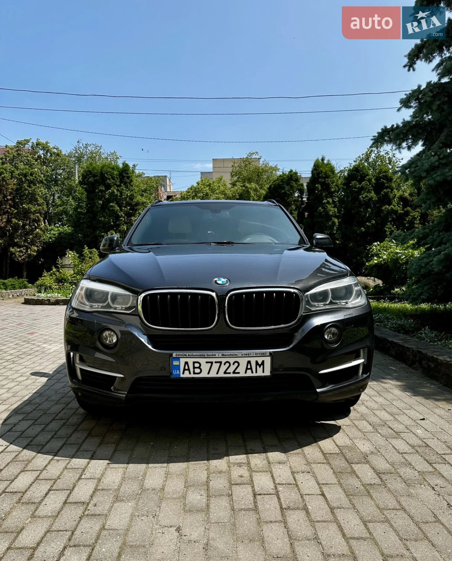 2013 BMW X5 - мініатюра 2