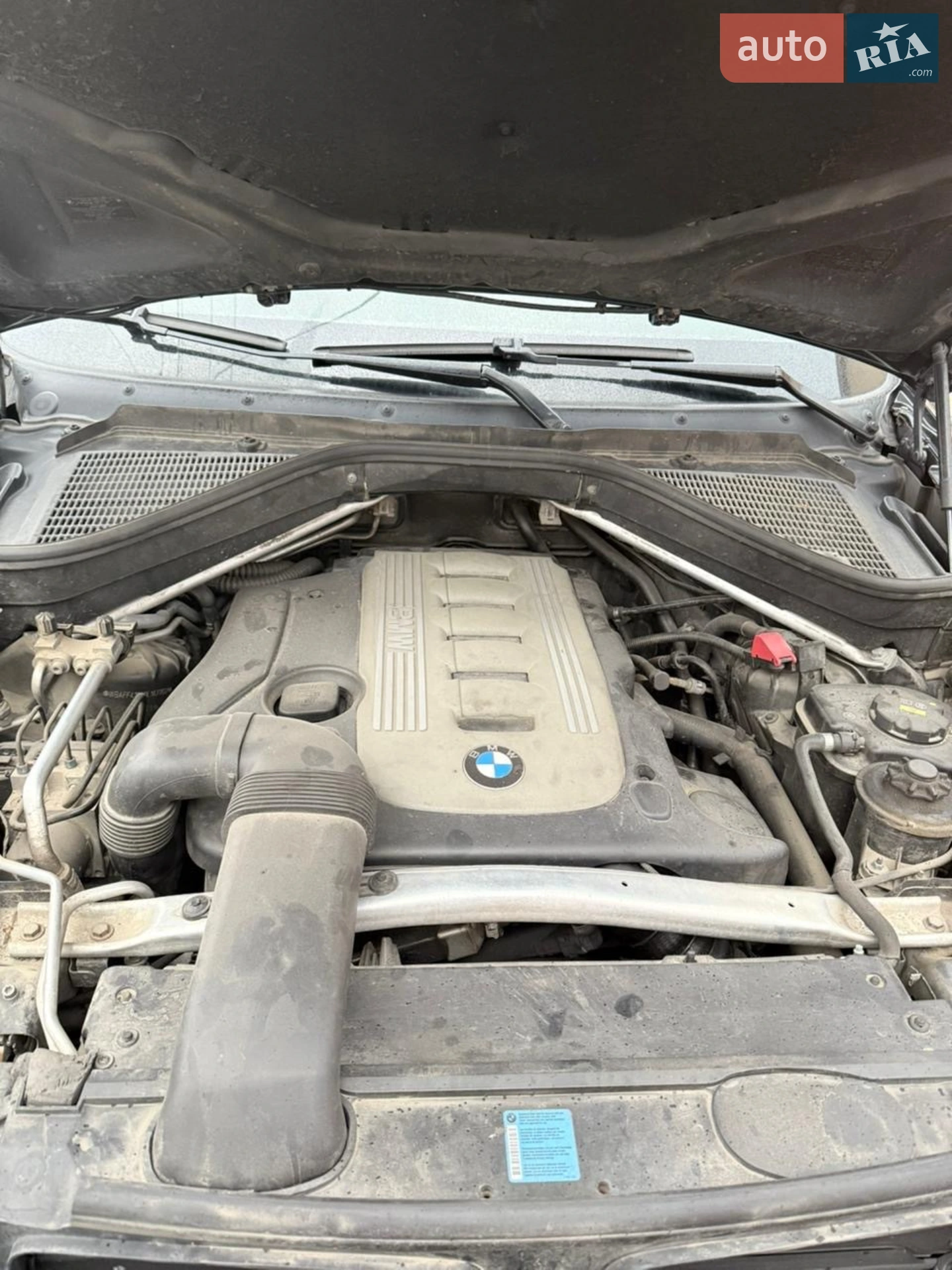 2010 BMW X5 - мініатюра 6
