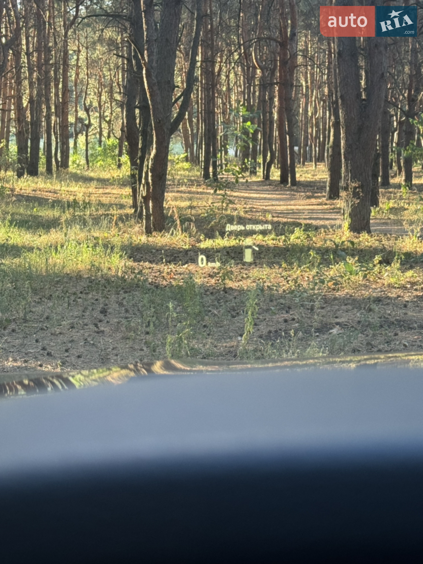 2017 BMW X5 - мініатюра 18