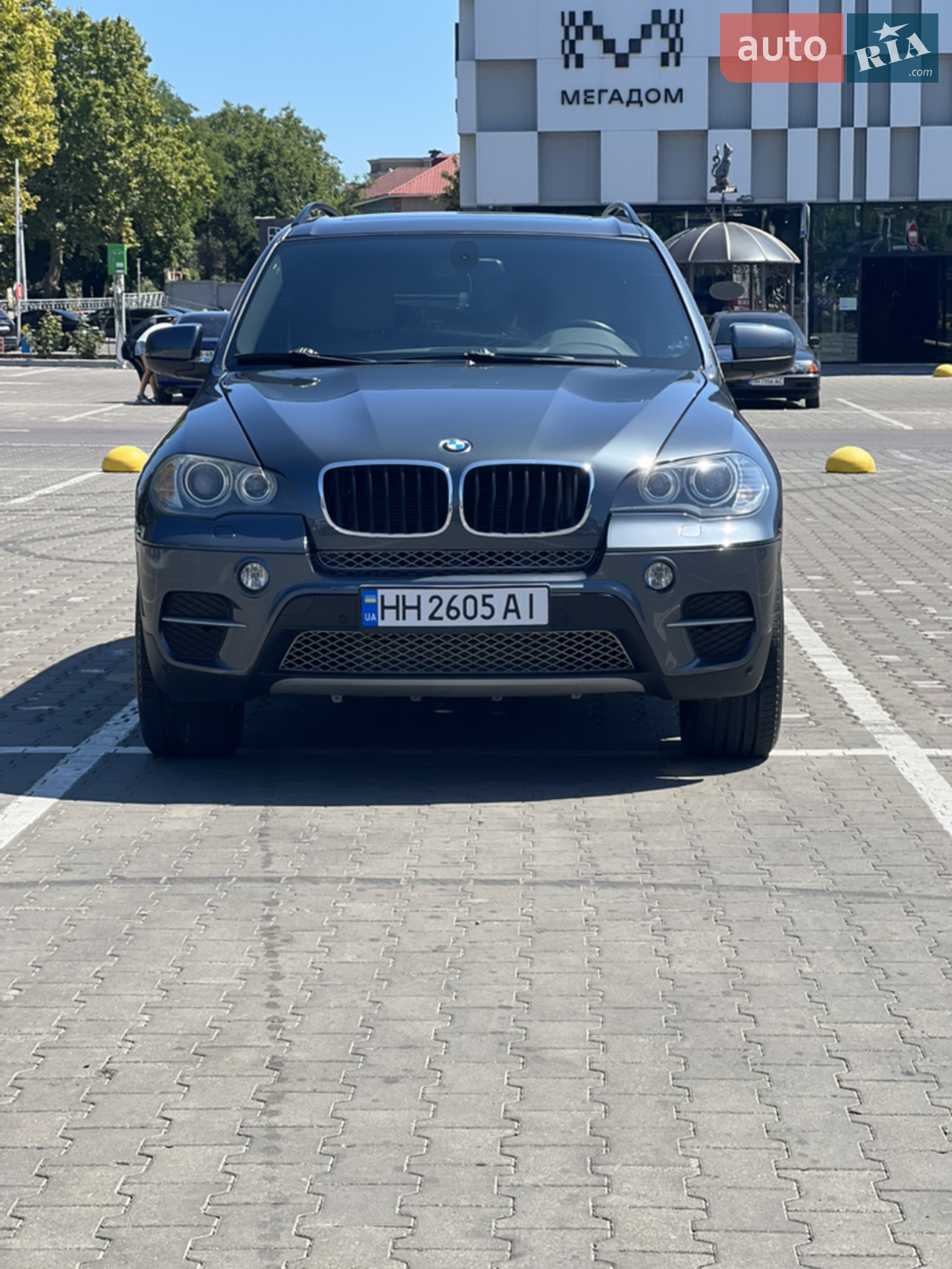 2010 BMW X5 - мініатюра 2