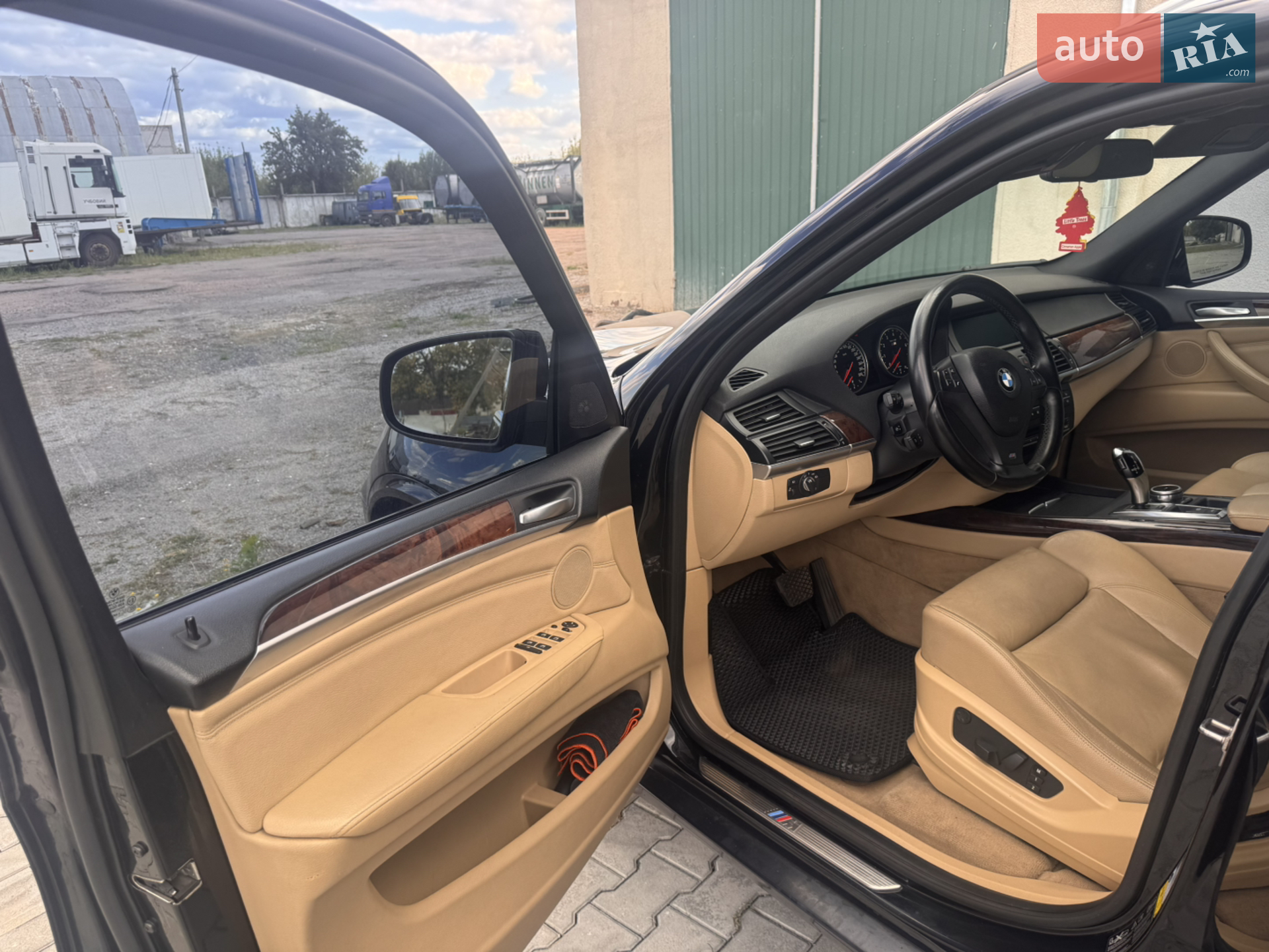 2010 BMW X5 - мініатюра 17