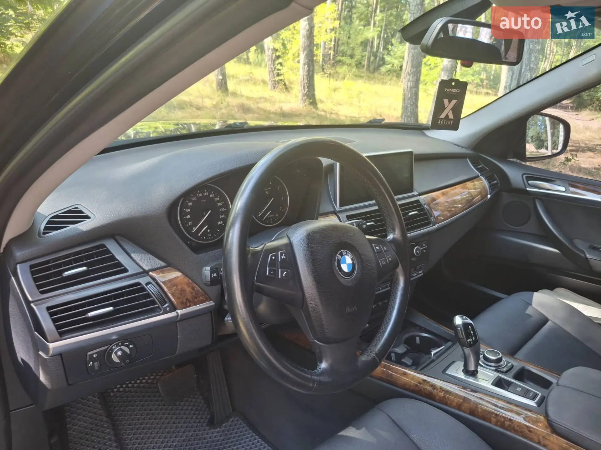 2010 BMW X5 - мініатюра 7