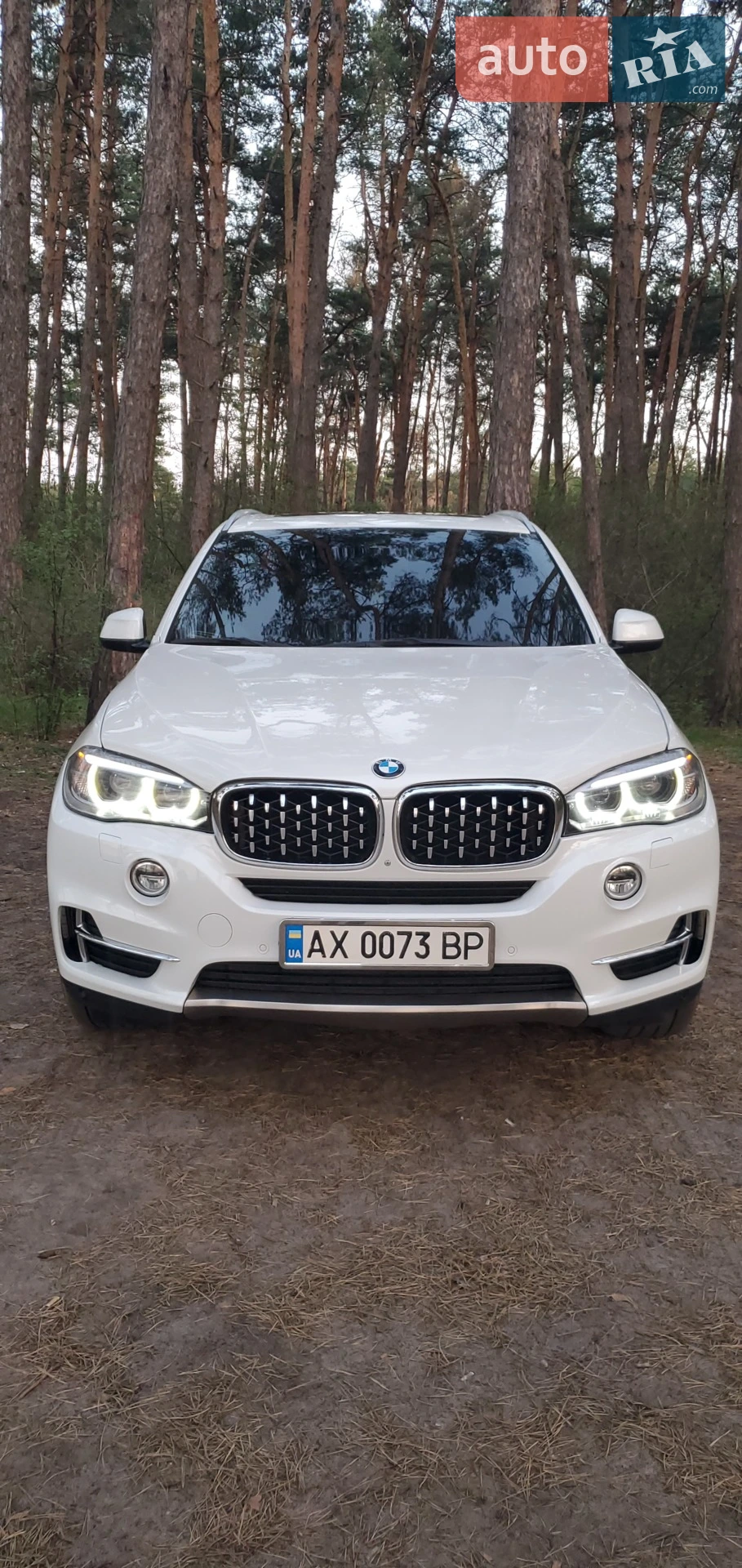 2015 BMW X5 - фото 1