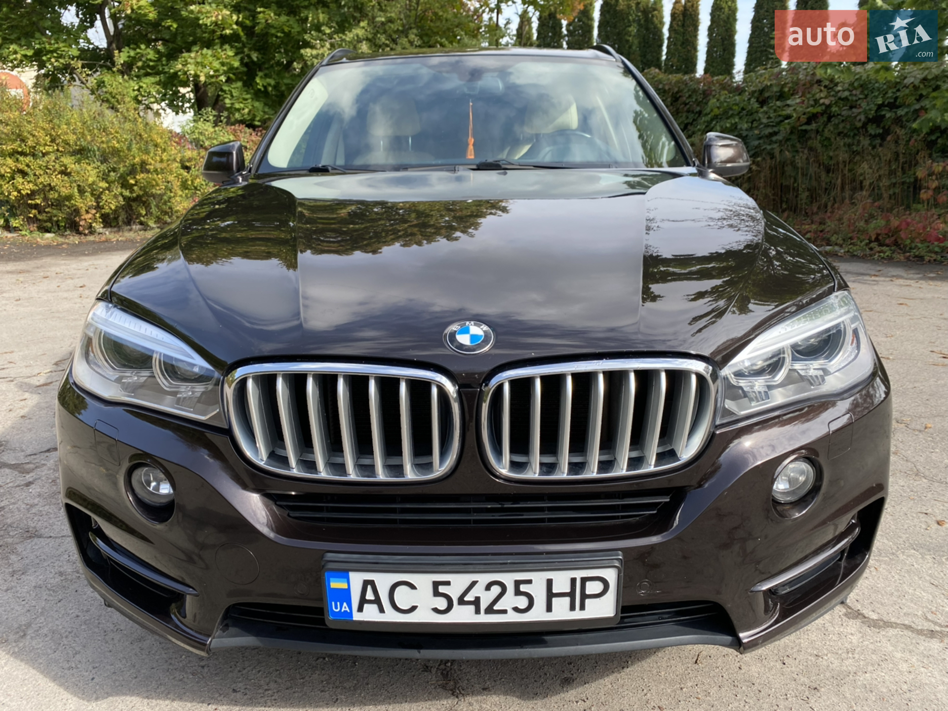 2013 BMW X5 - мініатюра 12