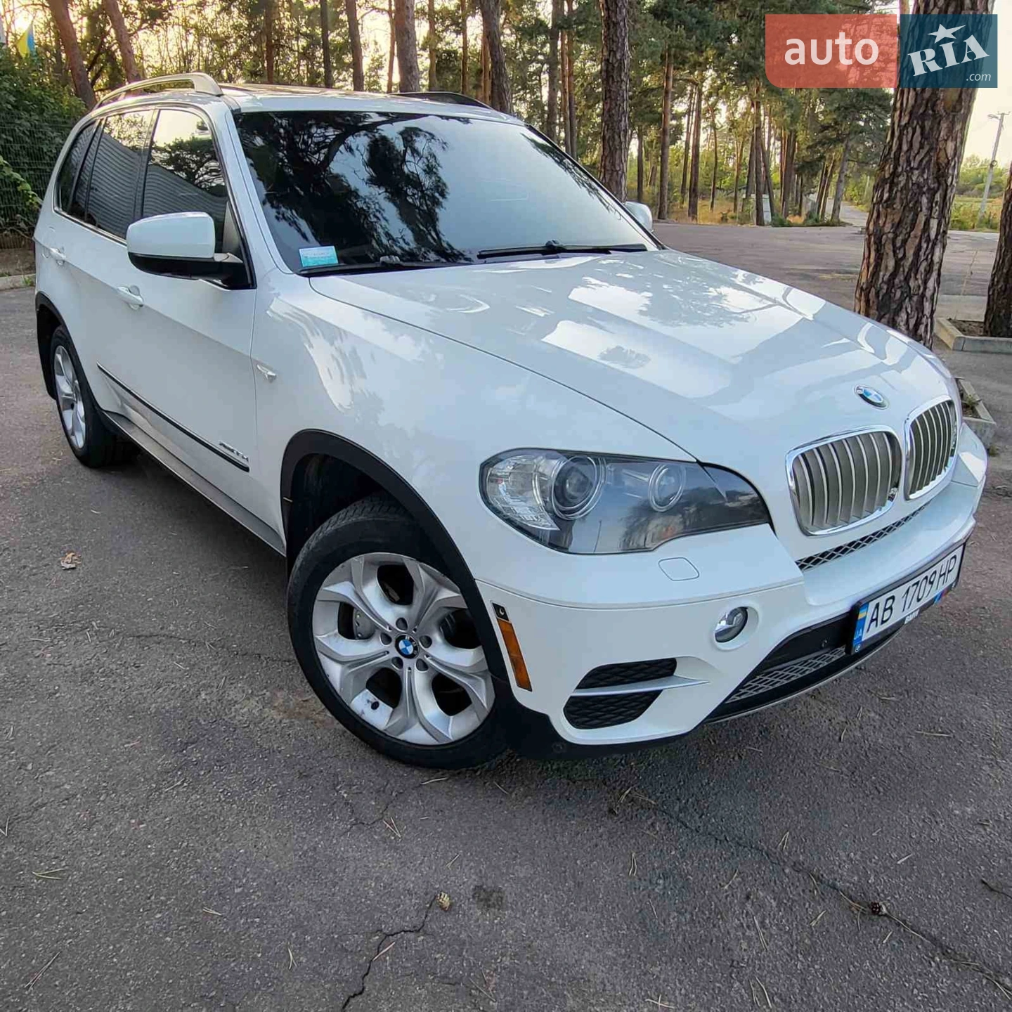 2011 BMW X5 - мініатюра 22