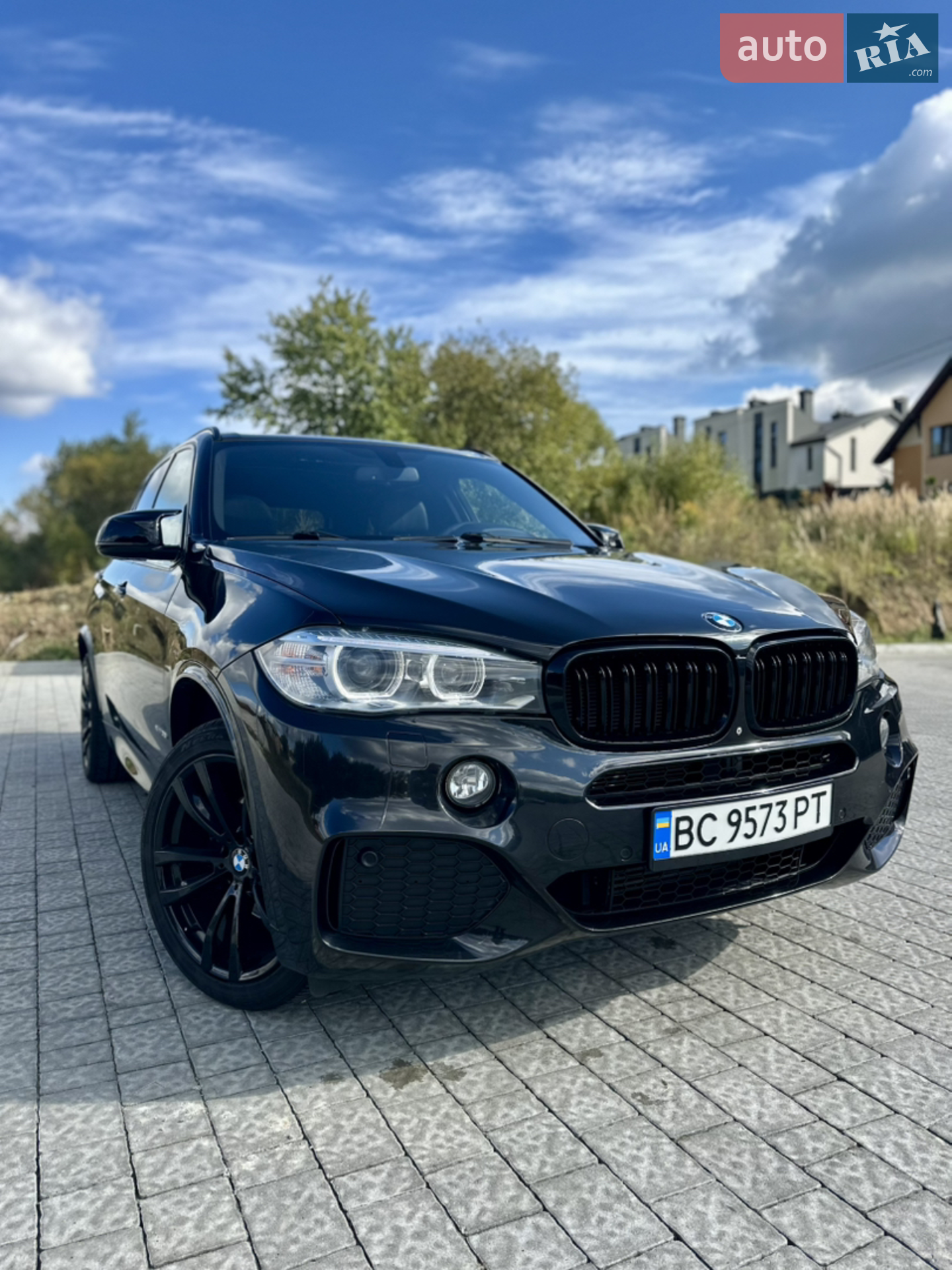 2013 BMW X5 - мініатюра 2