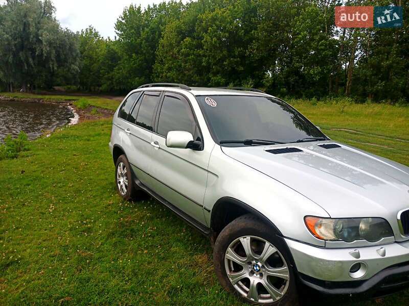 Внедорожник / Кроссовер BMW X5 2003 в Гоще фото 13 Внедорожник / Кроссовер BMW X5 2003 в Гоще