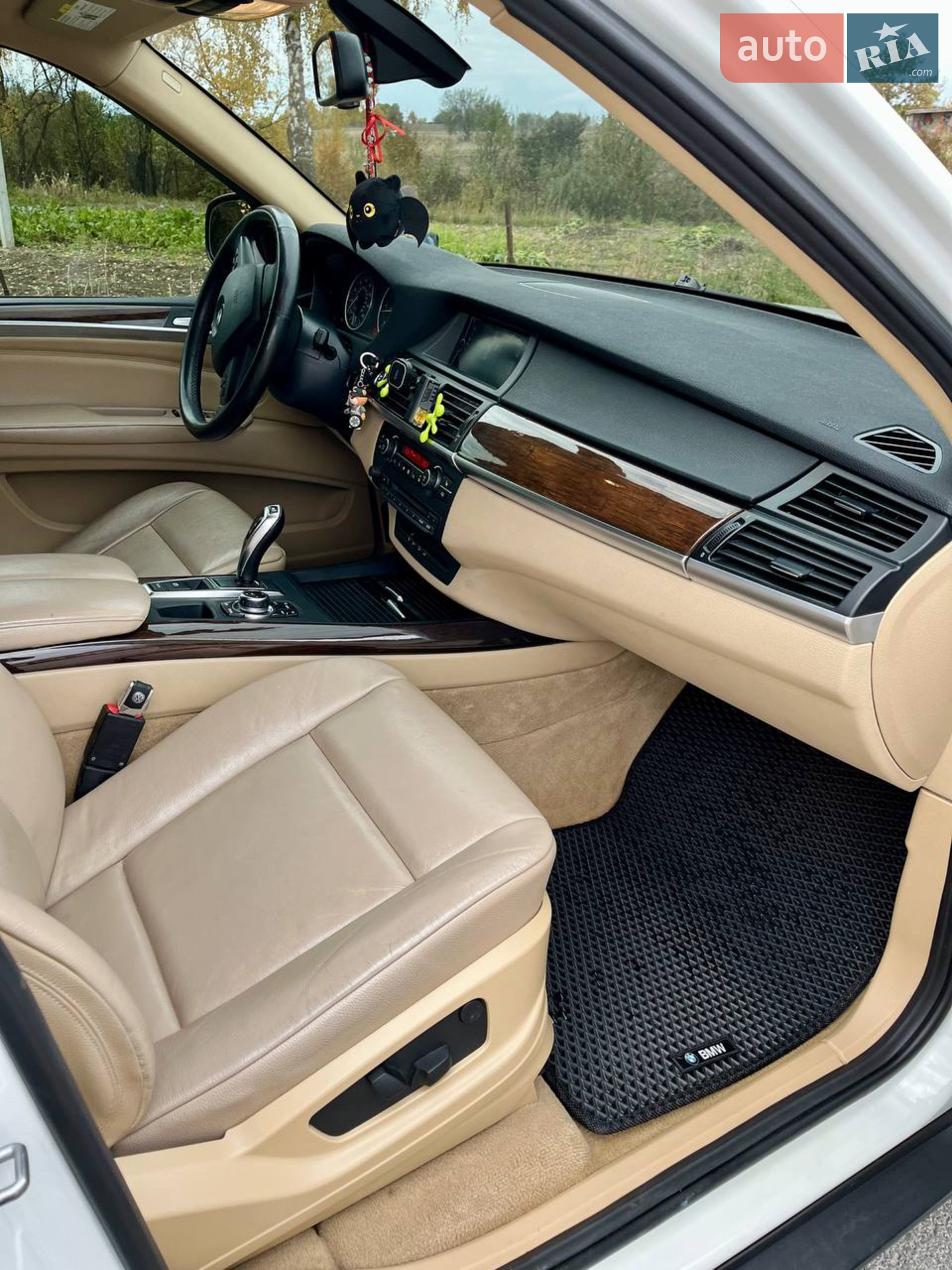 2011 BMW X5 - мініатюра 27