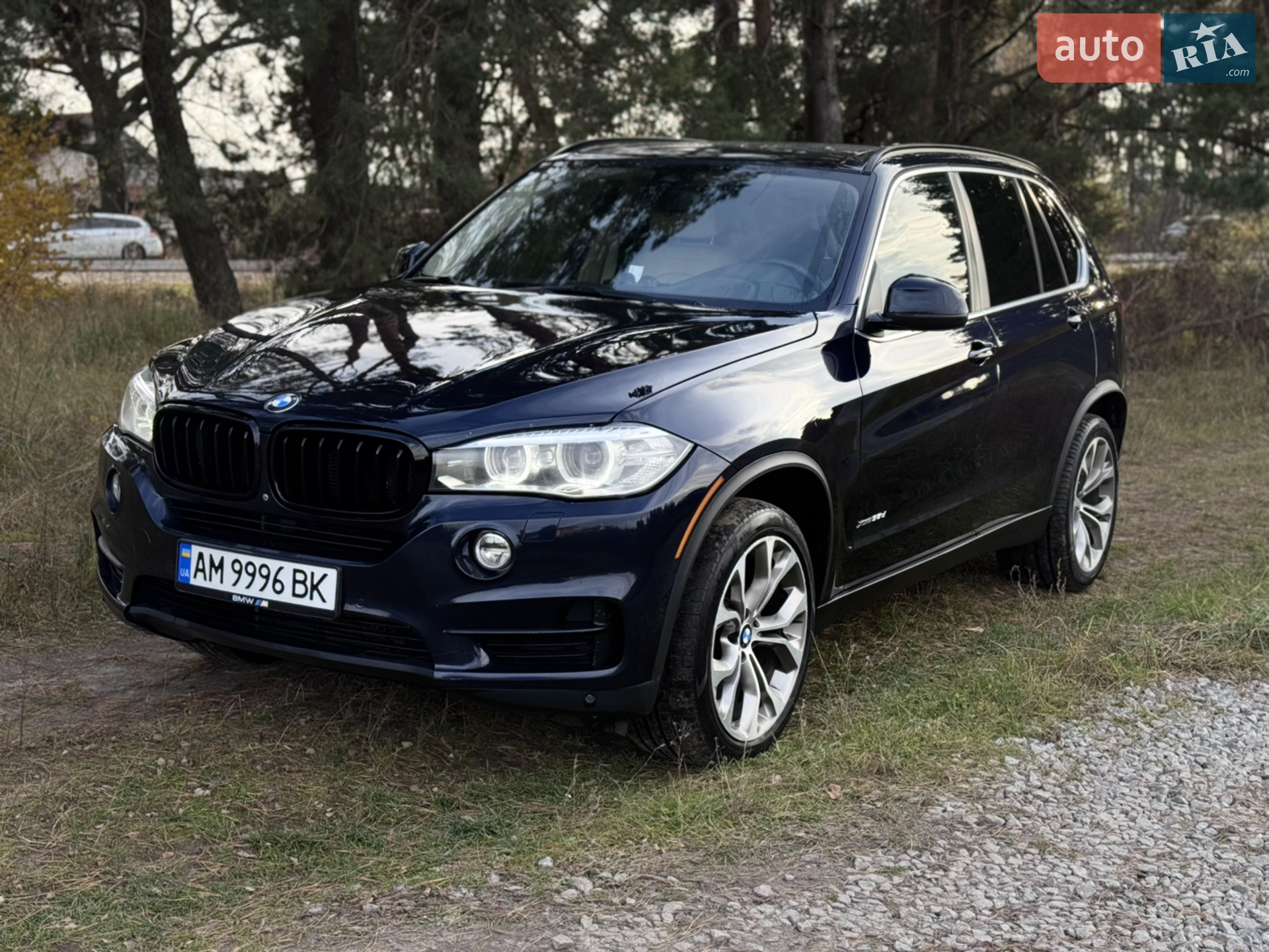 2014 BMW X5 - мініатюра 2