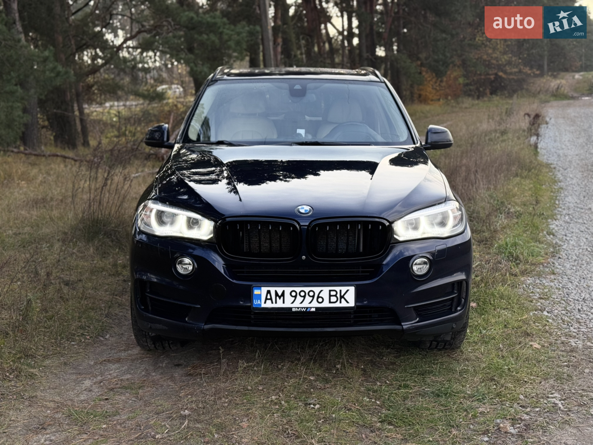 2014 BMW X5 - мініатюра 8