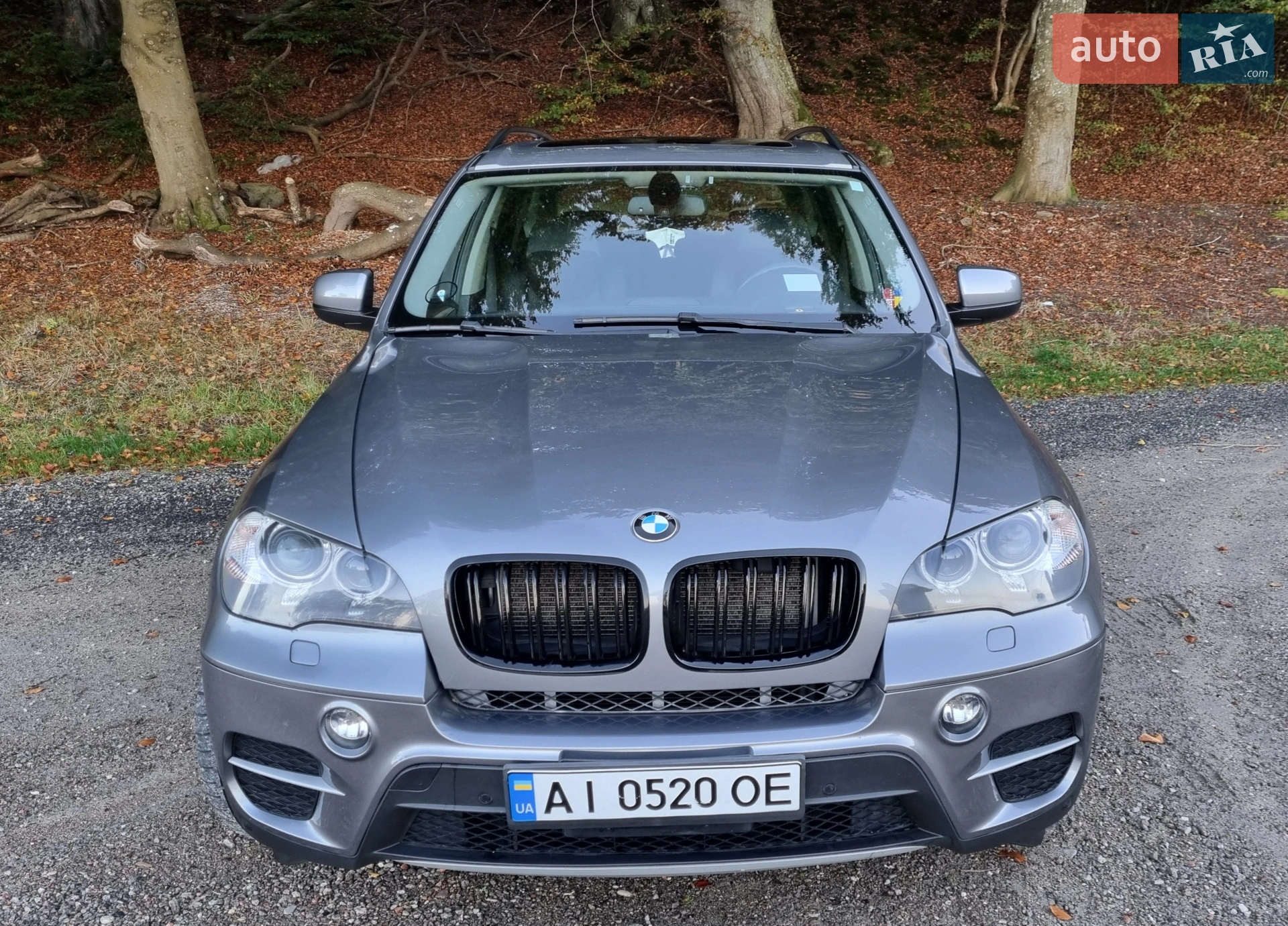 2013 BMW X5 - мініатюра 2