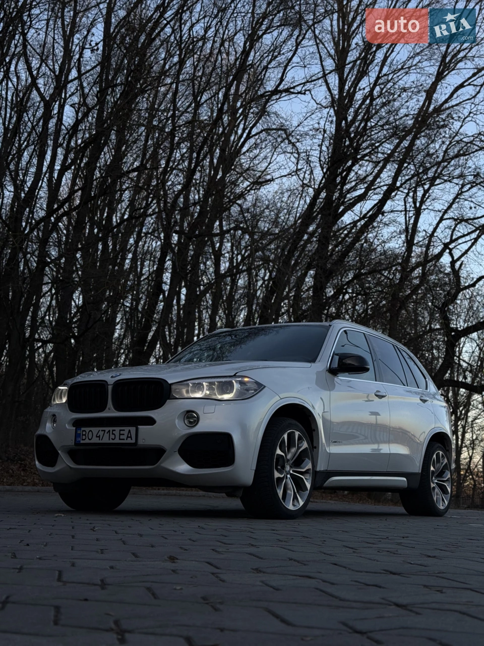 2015 BMW X5 - мініатюра 27