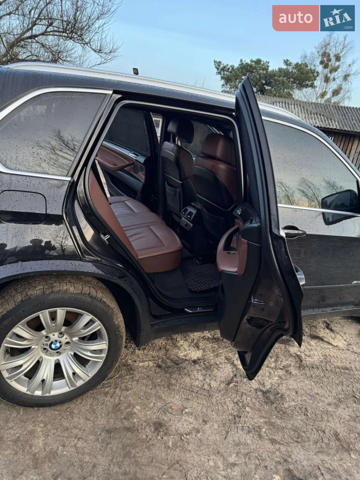 2010 BMW X5 - мініатюра 8