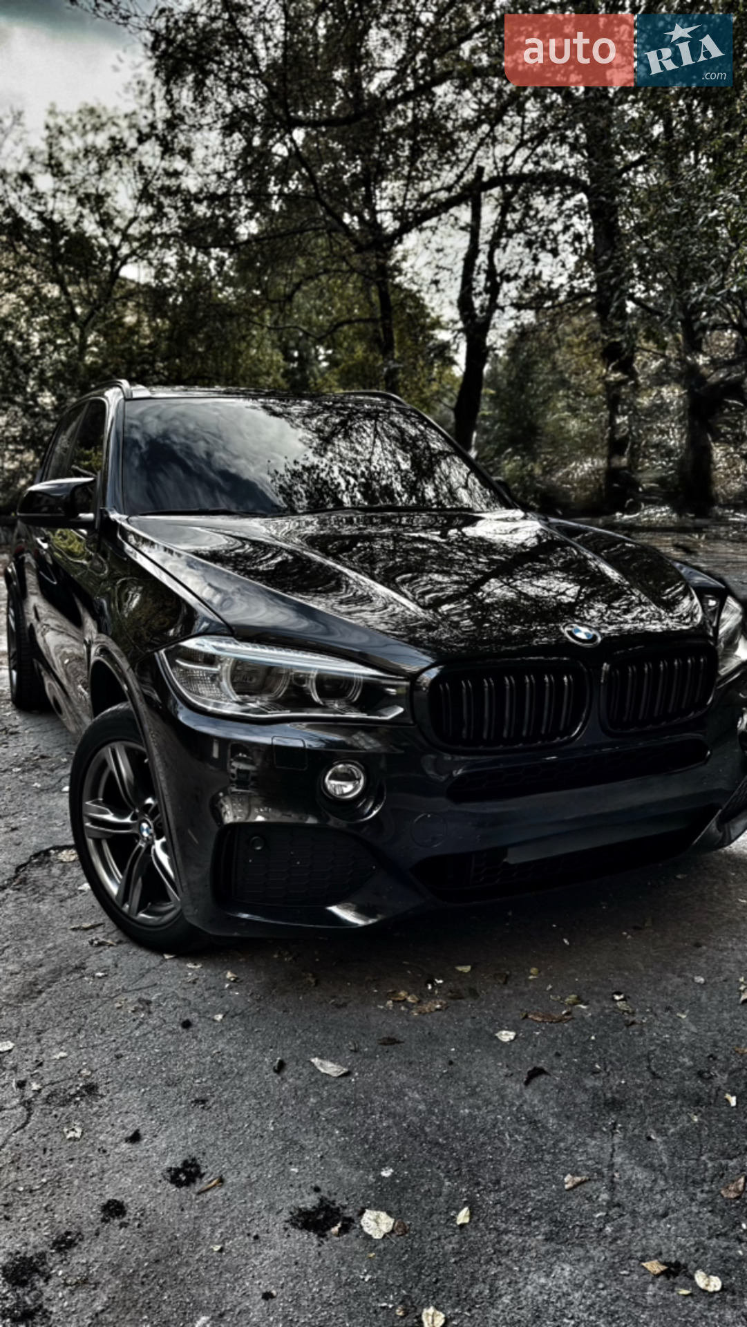 2014 BMW X5 - мініатюра 10