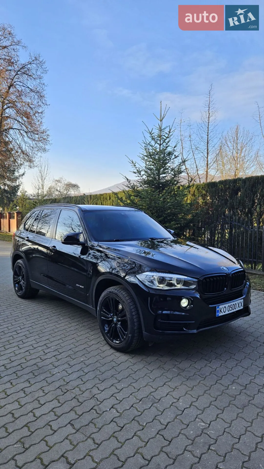 2014 BMW X5 - мініатюра 3