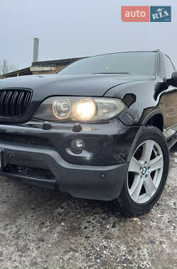 Позашляховик / Кросовер BMW X5 2004 в Ізяславі