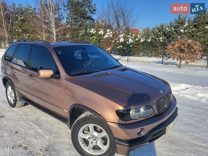 Внедорожник / Кроссовер BMW X5 2001 в Хмельницком фото 24 Внедорожник / Кроссовер BMW X5 2001 в Хмельницком