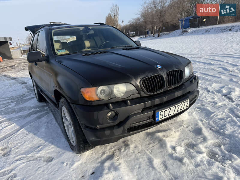Внедорожник / Кроссовер BMW X5 2001 в Вольнянске