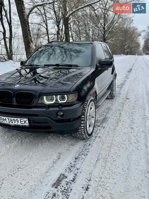 Позашляховик / Кросовер BMW X5 2001 в Глухові